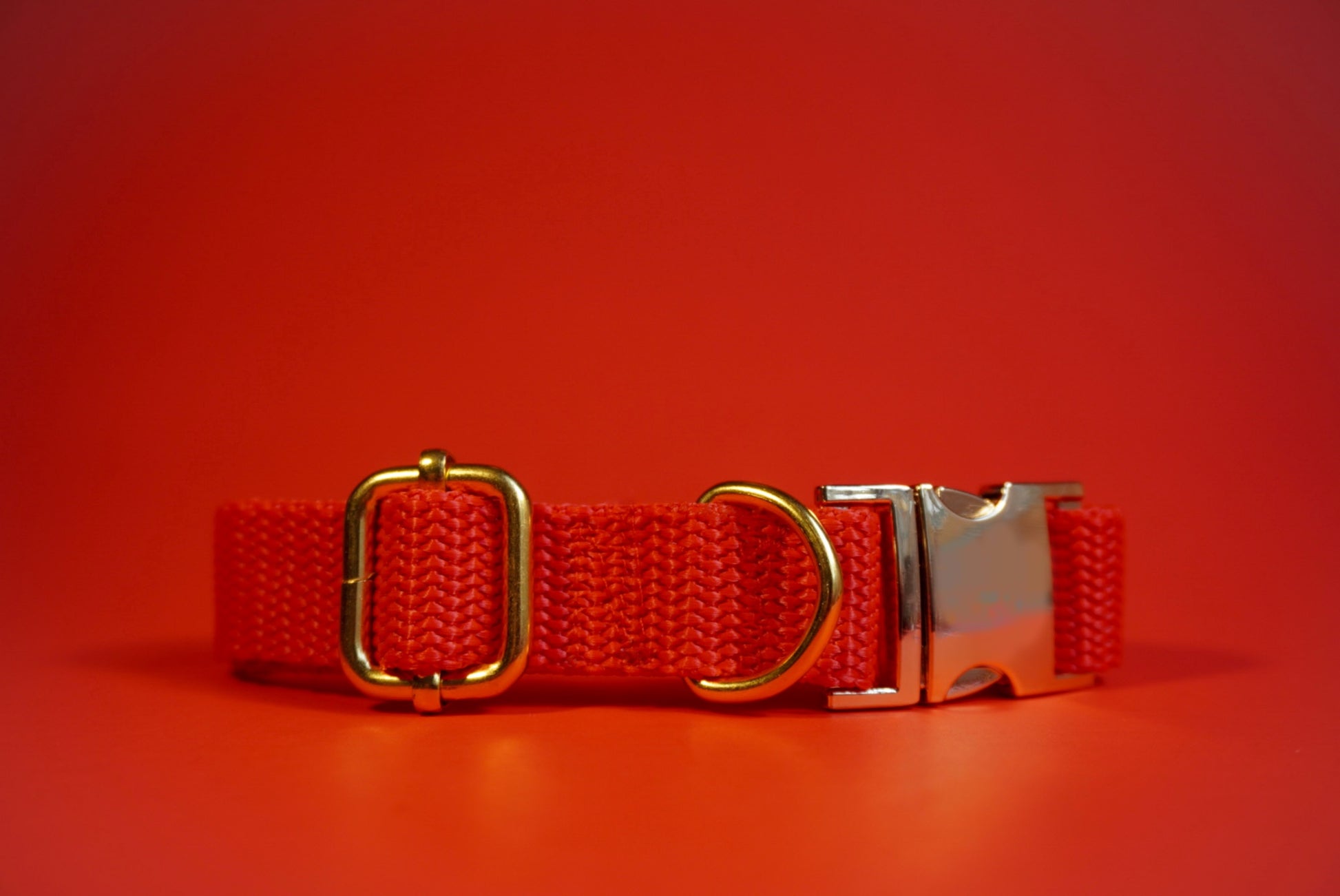 Red Durable Webbing Dog Collar – Lightweight, Strong & Adjustable