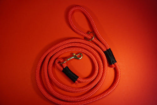 Red Diamond Braid Dog Leash – Universal Fit for All Sizes, Lightweight & Durable Polypro Rope