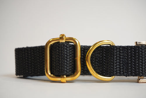 Black Durable Webbing Dog Collar – Lightweight, Strong & Adjustable