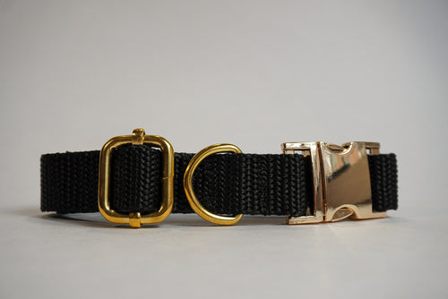 Black Durable Webbing Dog Collar – Lightweight, Strong & Adjustable