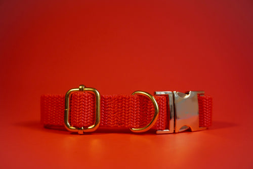 Red Durable Webbing Dog Collar – Lightweight, Strong & Adjustable